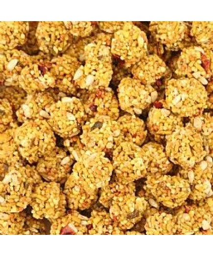 284g Lafeber NutriBerries El Paso Complete Parrot Food